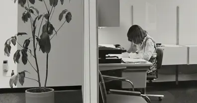 Картинка довгочиту