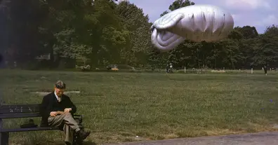 Картинка довгочиту