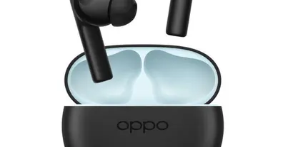 Картинка довгочиту