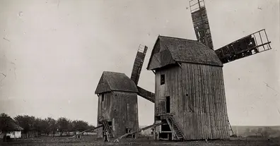 Картинка довгочиту