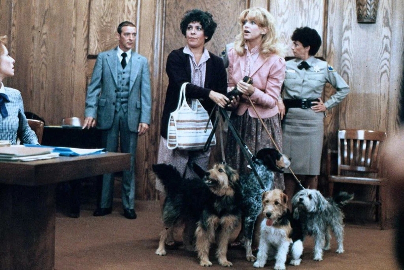 Голді Гоун з собаками