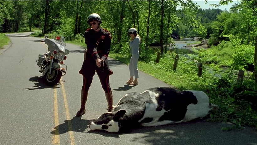 Я, знову я та Ірен (Me, Myself & Irene) 2000 - кадр із фільму