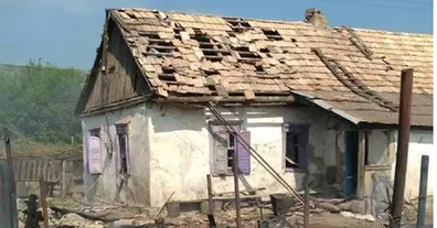 Картинка довгочиту