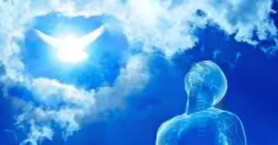 Картинка довгочиту