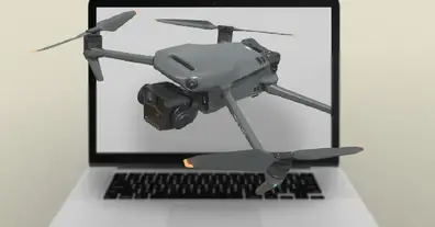 Картинка довгочиту