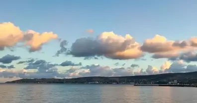 Картинка довгочиту