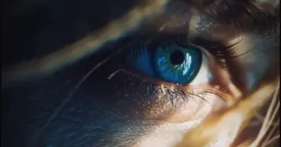 Картинка довгочиту