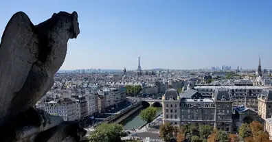 Картинка довгочиту