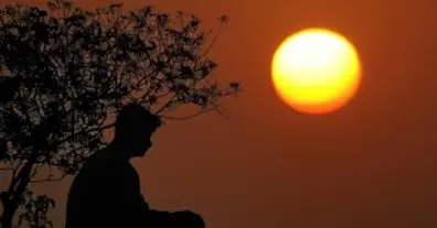 Картинка довгочиту