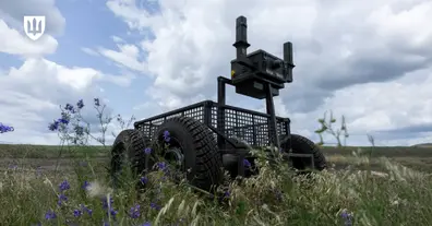 Картинка довгочиту