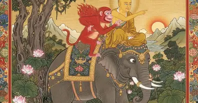 Картинка довгочиту