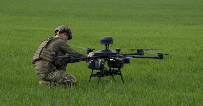 Картинка довгочиту