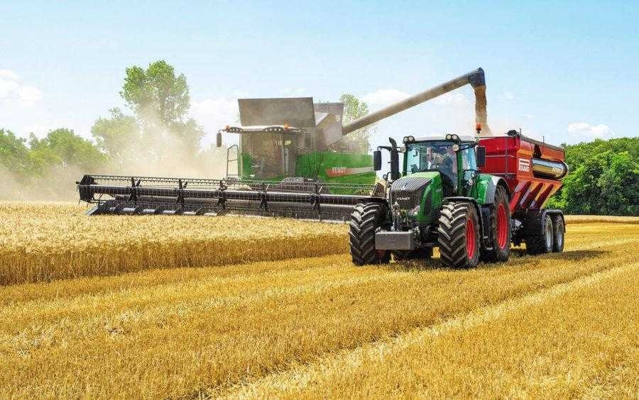 ᐉ Особенности уборки зерновых культур - Журнал Агроном