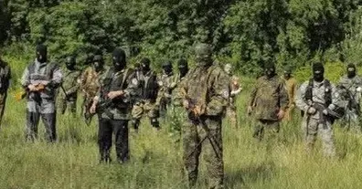 Картинка довгочиту