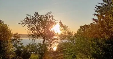 Картинка довгочиту