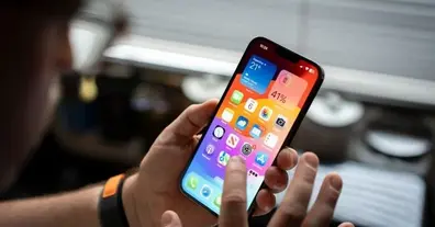 Картинка довгочиту