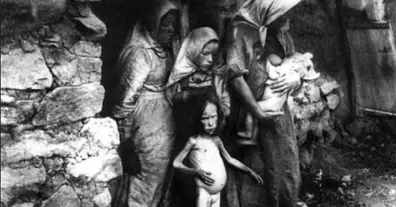 Картинка довгочиту