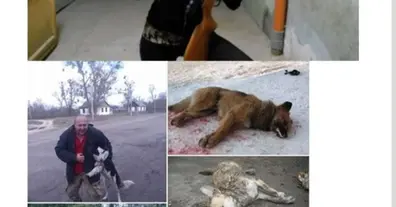 Картинка довгочиту