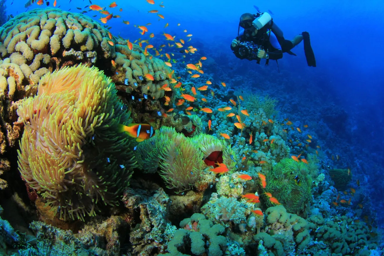 Five Best Places to go Scuba Diving in Egypt | Scuba Diving