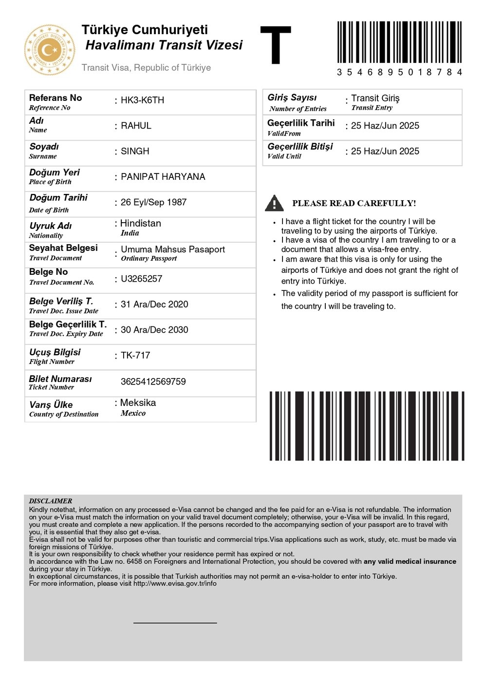 Turkey Transit Visa: Complete Guide for Transit Through Türkiye