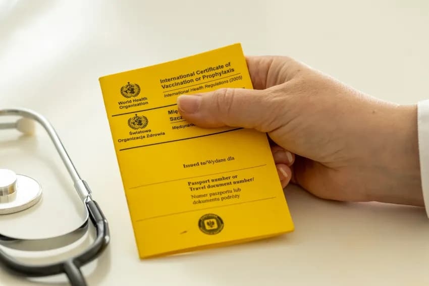 Yellow Fever Certificate Chatham Medway