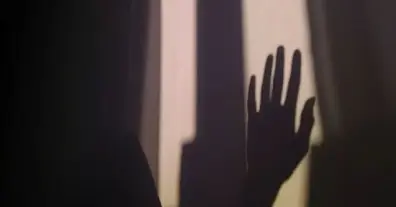 Картинка довгочиту