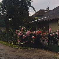 Вічний Вечір𓅪