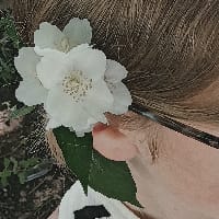 Летиція Сільва