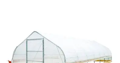 Картинка довгочиту