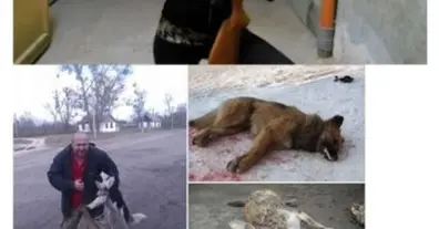 Картинка довгочиту