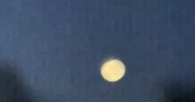 Картинка довгочиту