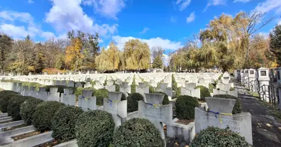 Картинка довгочиту