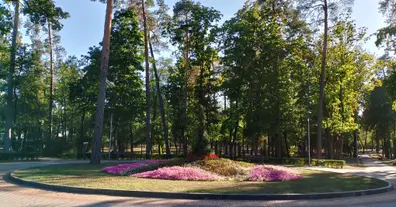 Картинка довгочиту