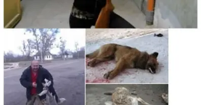 Картинка довгочиту