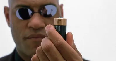 Картинка довгочиту