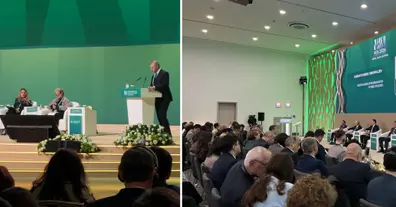 Картинка довгочиту