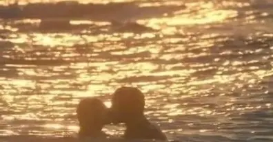 Картинка довгочиту