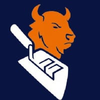 Concrete Buffalo