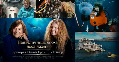 Картинка довгочиту