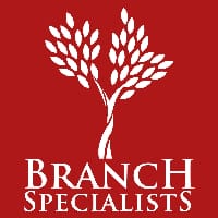 Branch Specialist
