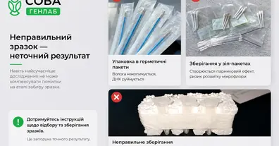 Картинка довгочиту