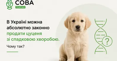 Картинка довгочиту