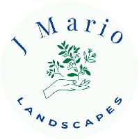 J Mario Scapes LLC