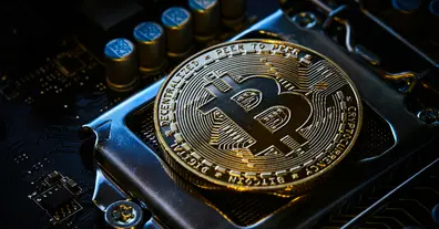 Картинка довгочиту