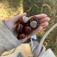 Ніна Каштан