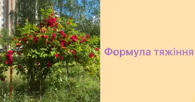 Картинка довгочиту