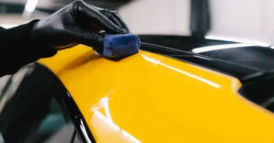 Картинка довгочиту
