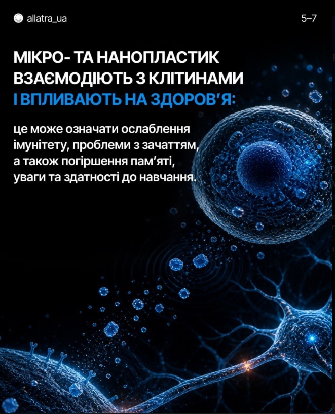 yTK1111762.65483962533.jpeg