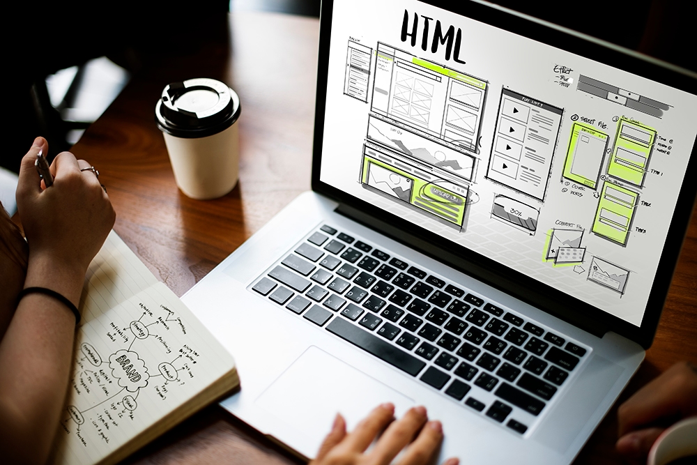 Creative Web Design in Kochi, Kerala – Trusted Team | Seeroo