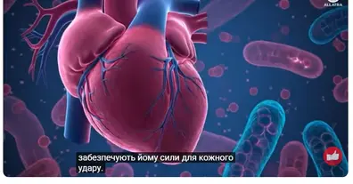 Картинка довгочиту